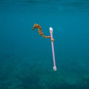 plástico en el mar