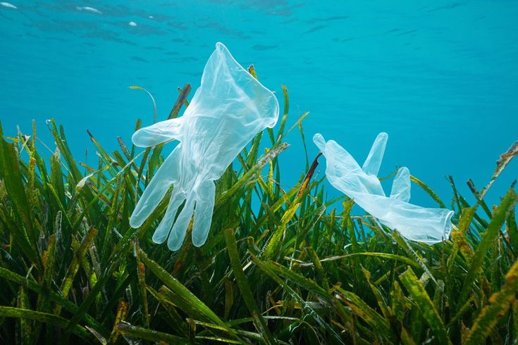 guantes en el mar