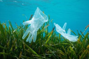 guantes de plástico en la posidonia