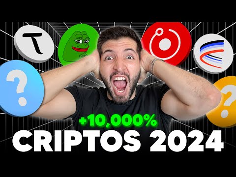 Galería Dan Fuentes