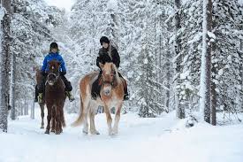 Excursiones caballos 5