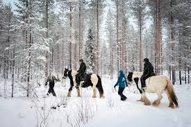 Excursiones caballos