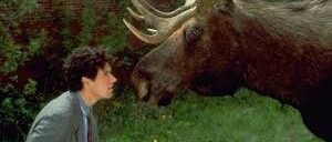 Galería Doctor en Alaska 5