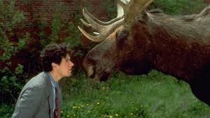 Galería Doctor en Alaska 5