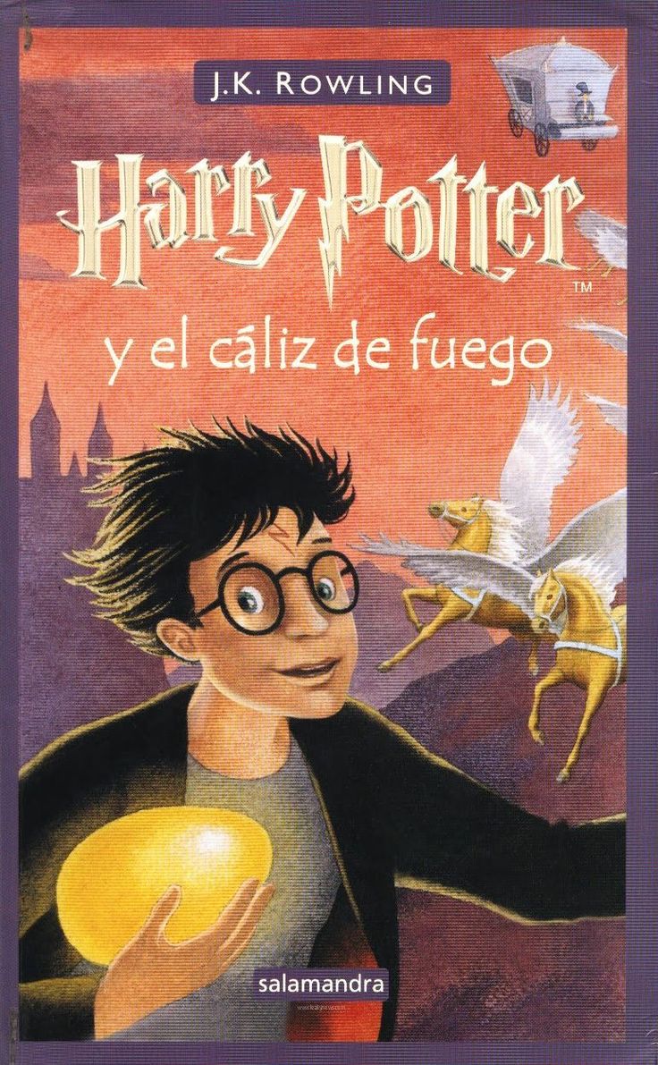Libro 4