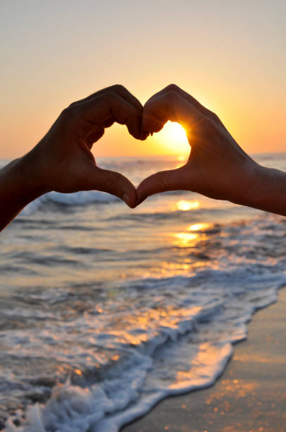 amor contacta con nosotros