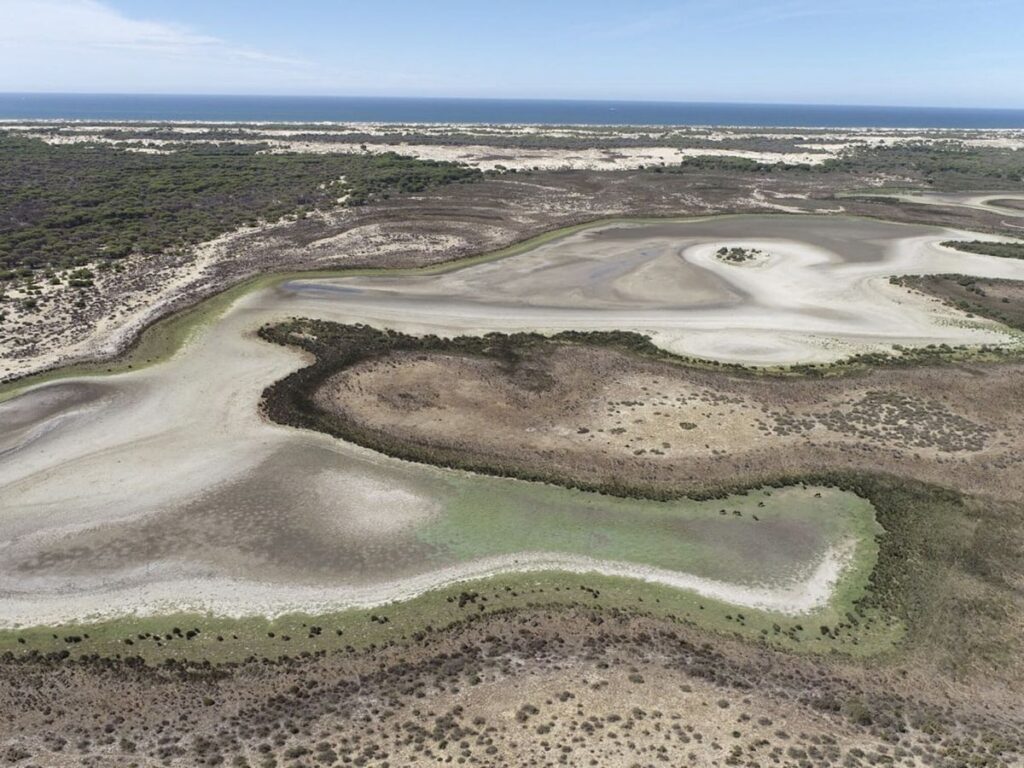 Surcos causados por el agua en el parque nacional de Doñana. 