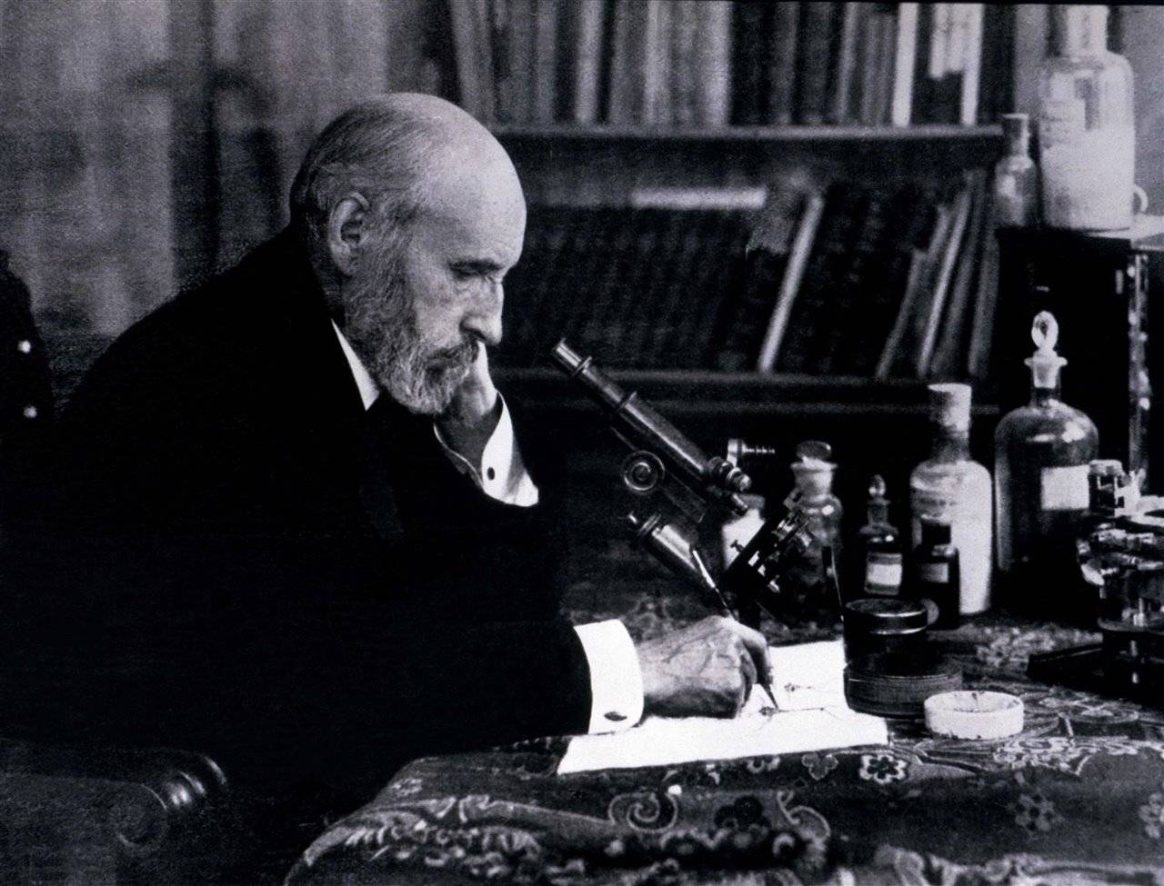 Imagen de Santiago Ramón y Cajal 