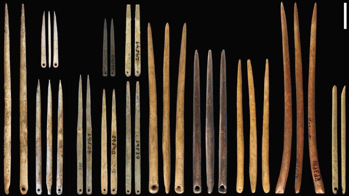 Cómo las agujas de coser facilitaron la expansión de los primeros sapiens