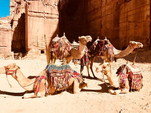 Aventura en el Mar Muerto y desierto jordano