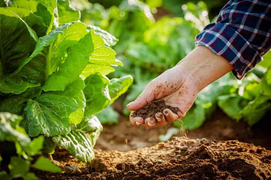 Jardín para la sostenibilidad