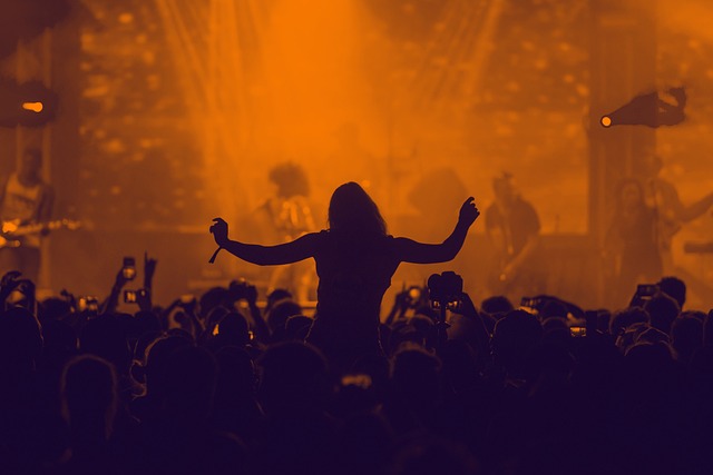 gente en un concierto