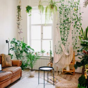 Decoración
