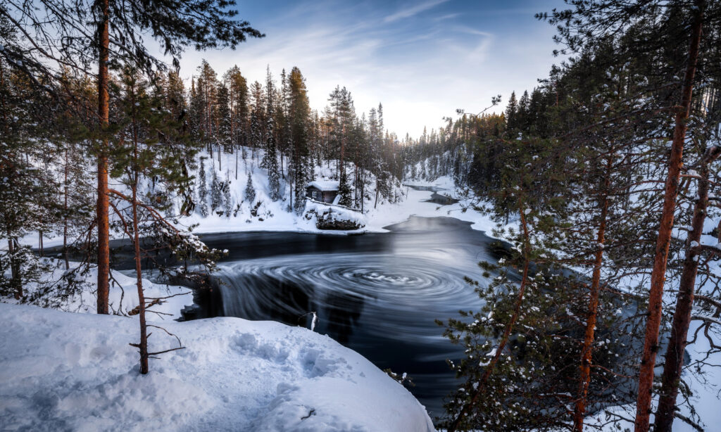 bosque de Vikaköngäs