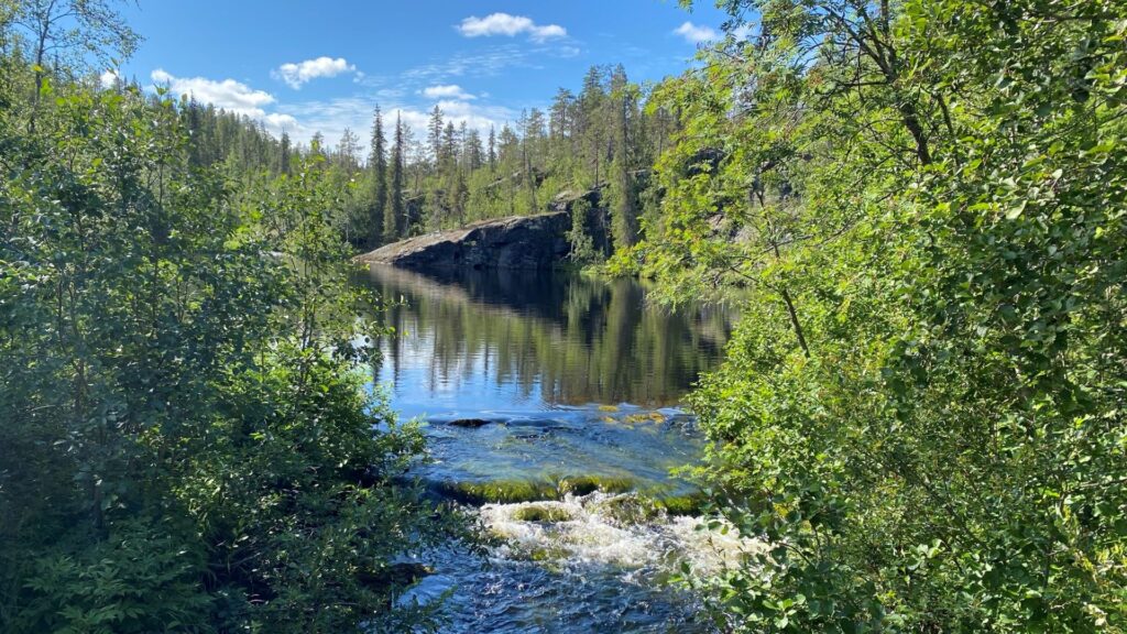 Pallas-Yllästunturi National Park