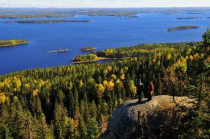 Recorridos en bici o senderismo por sus bonitos bosques