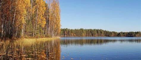 Parque Nacional de Leivonmäki