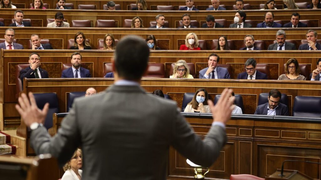 Pedro Sánchez en un debate en el Congreso de los DIputados.