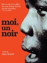 Moi, un noir 1
