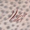 Logo VV