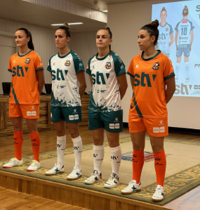 STV Roldán