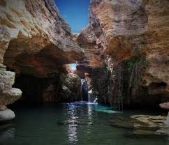 images (7)