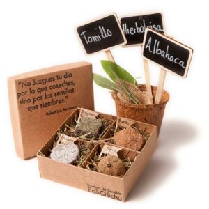 Kit de Cultivo Ecológico – Cultiva en Casa, Cuida el Planeta