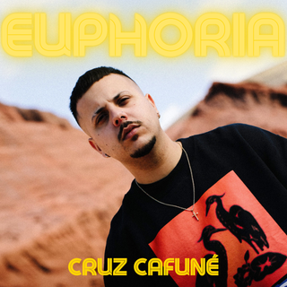 Lee más sobre el artículo CRUZ CAFUNÉ
