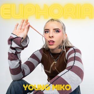 Lee más sobre el artículo YOUNG MIKO