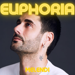 Lee más sobre el artículo MELENDI