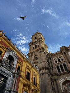 MÁLAGA 6