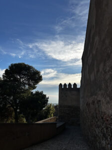 MÁLAGA 7