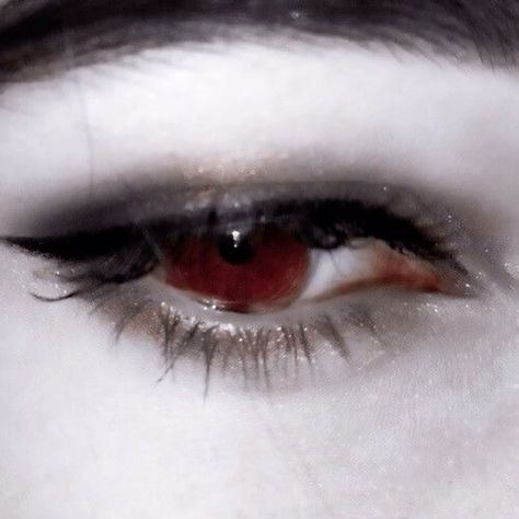 vampiro 5