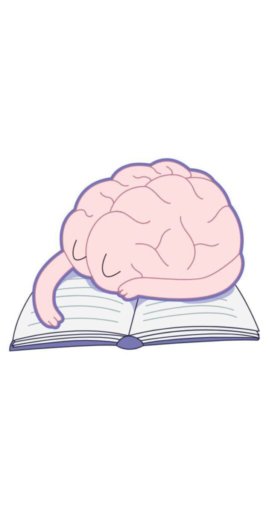 Organización