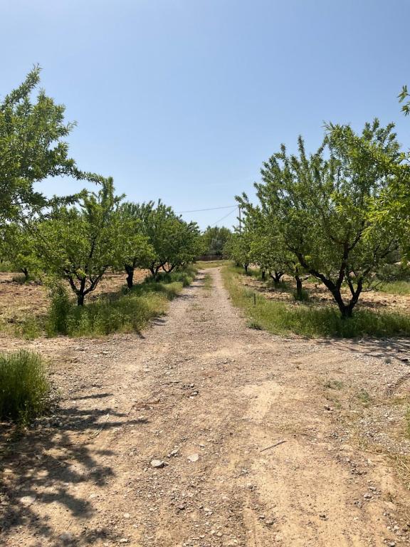 ruta campo