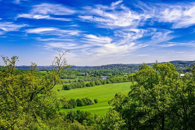 campo naturaleza