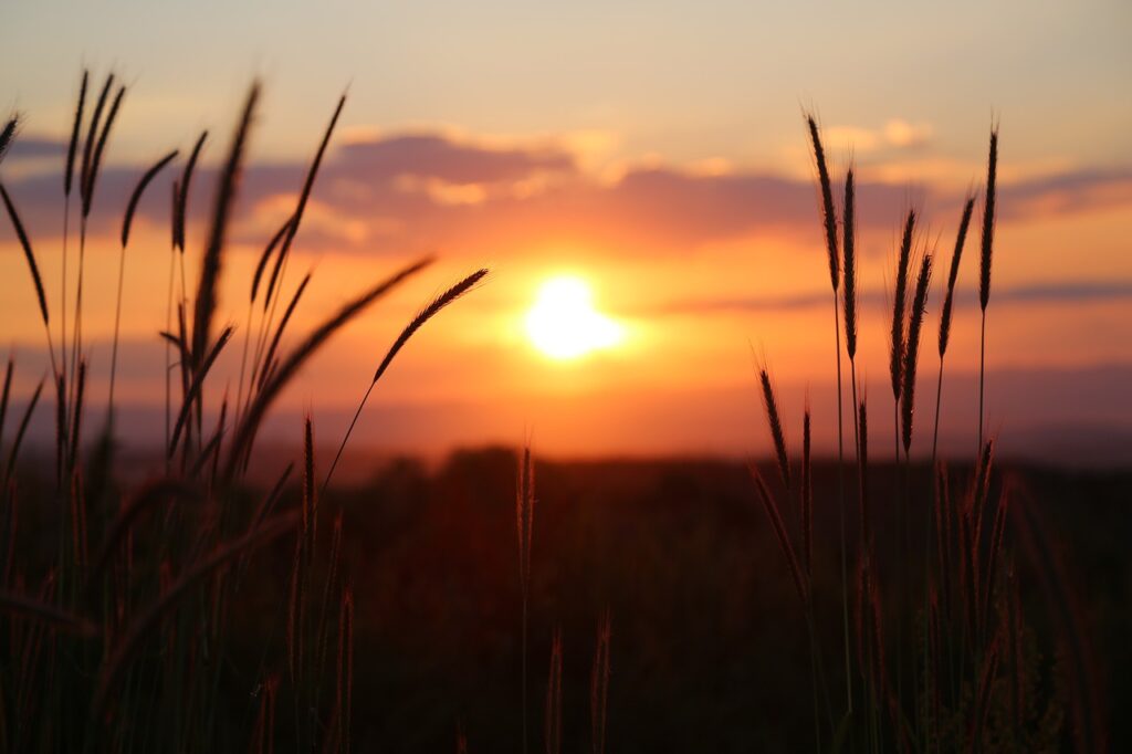 Atardecer sol