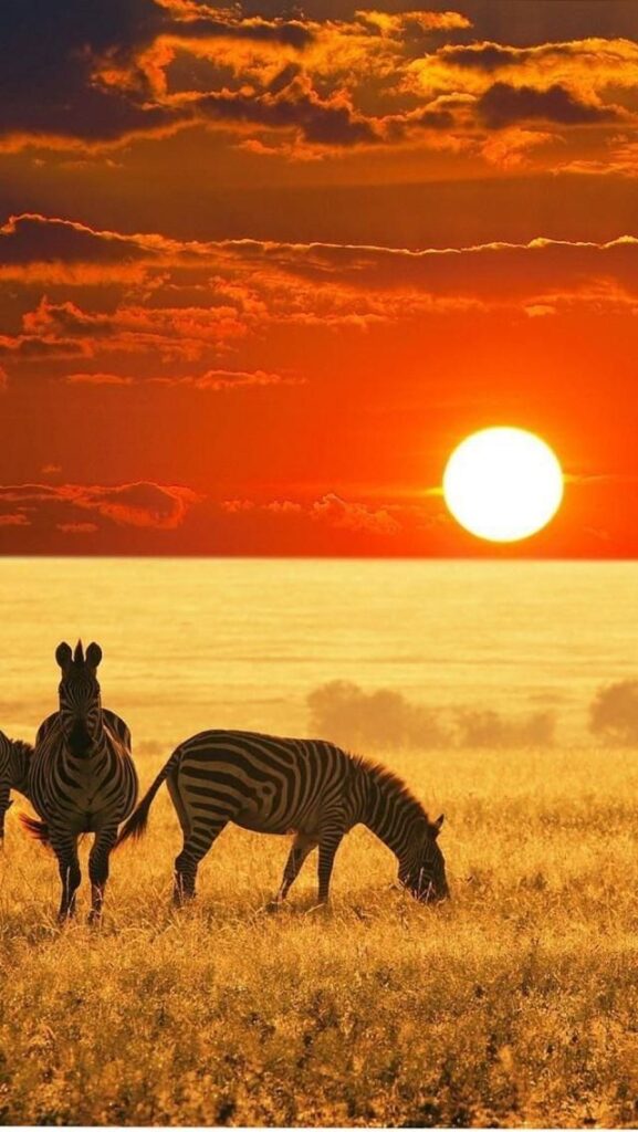 Kenia 2