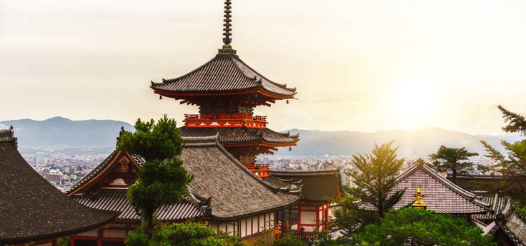 Japón cartel