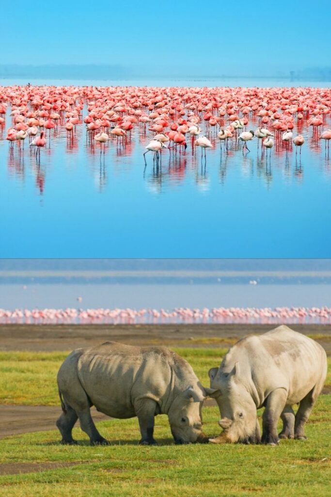 Kenia 3