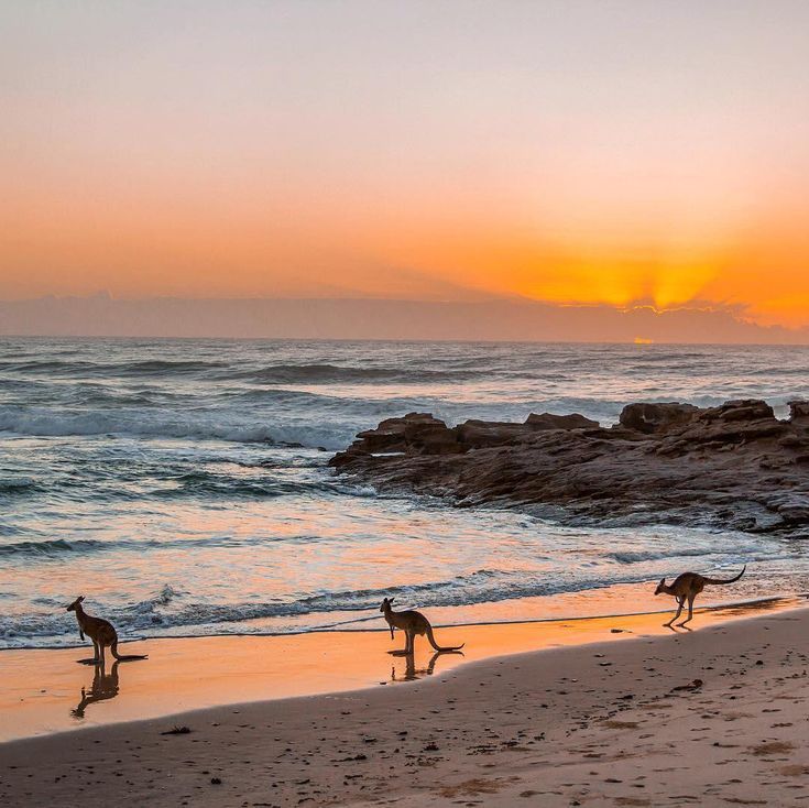 Australia 1