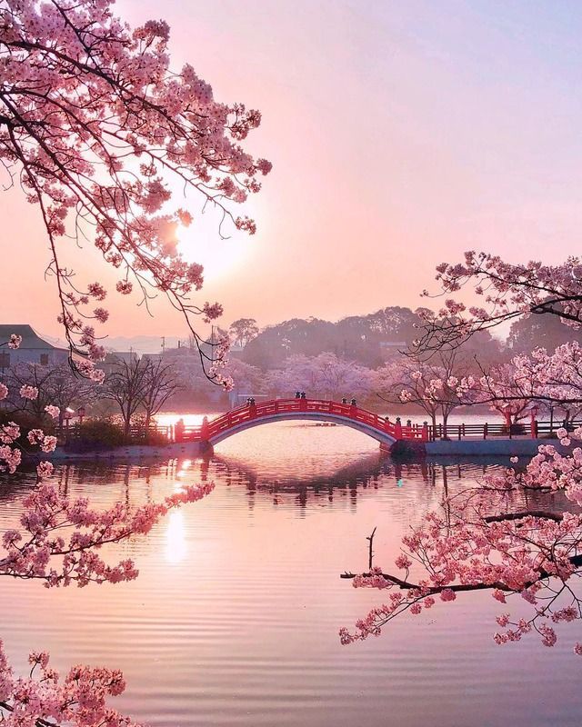japon 2