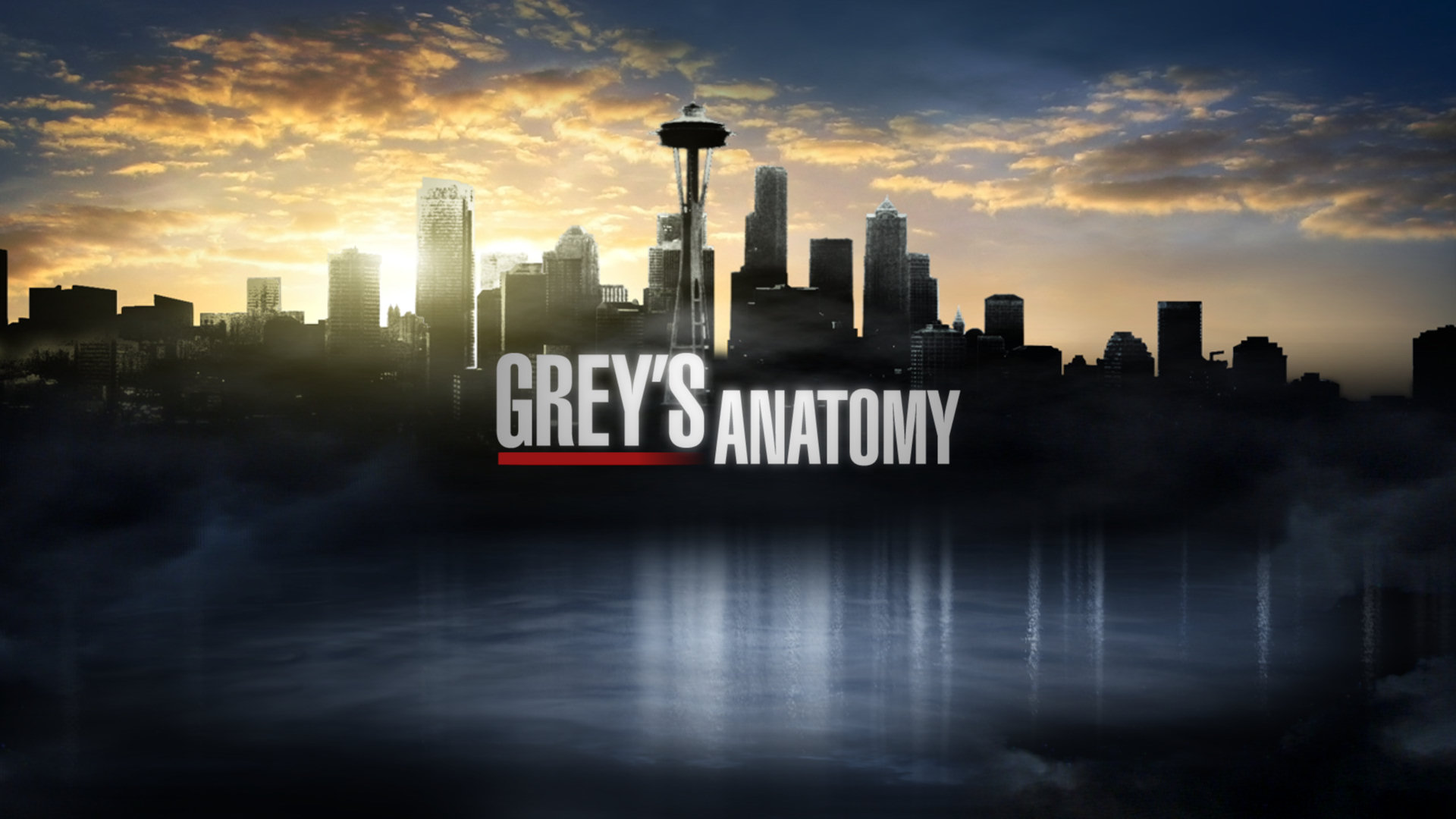 cartel anatomia de grey