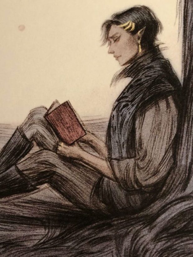 el rey del elfhame cardan