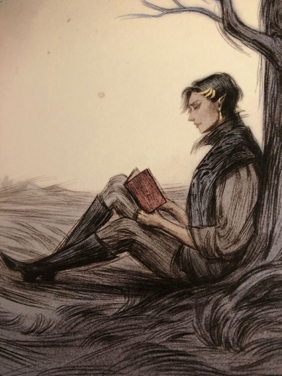 el rey del elfhame 5