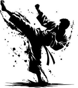 karate dib 2