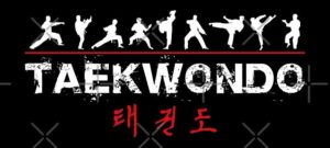 taekw portada