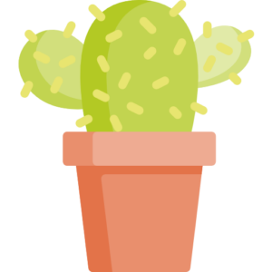 Decoración