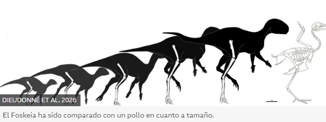 evolución del tamaño de los dinosaurios descubiertos