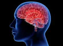 Ilustración detallada del cerebro humano con conexiones neuronales visibles
